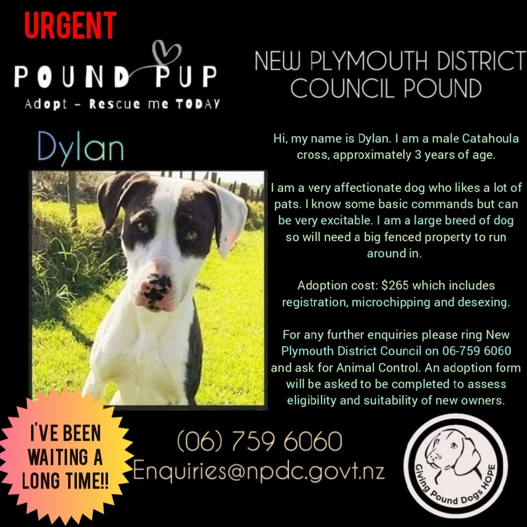 New plymouth sales dog pound